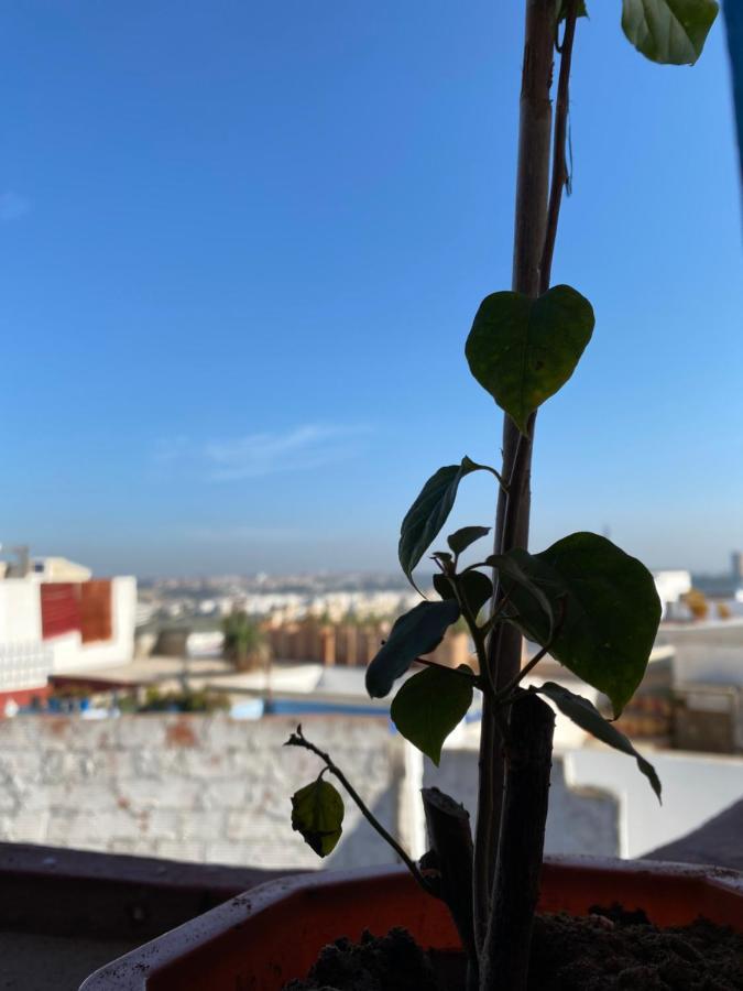 Riad Rihana Rabat Bagian luar foto